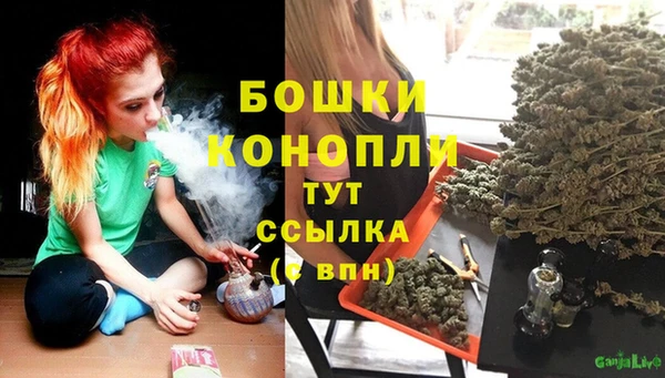 СК Арсеньев